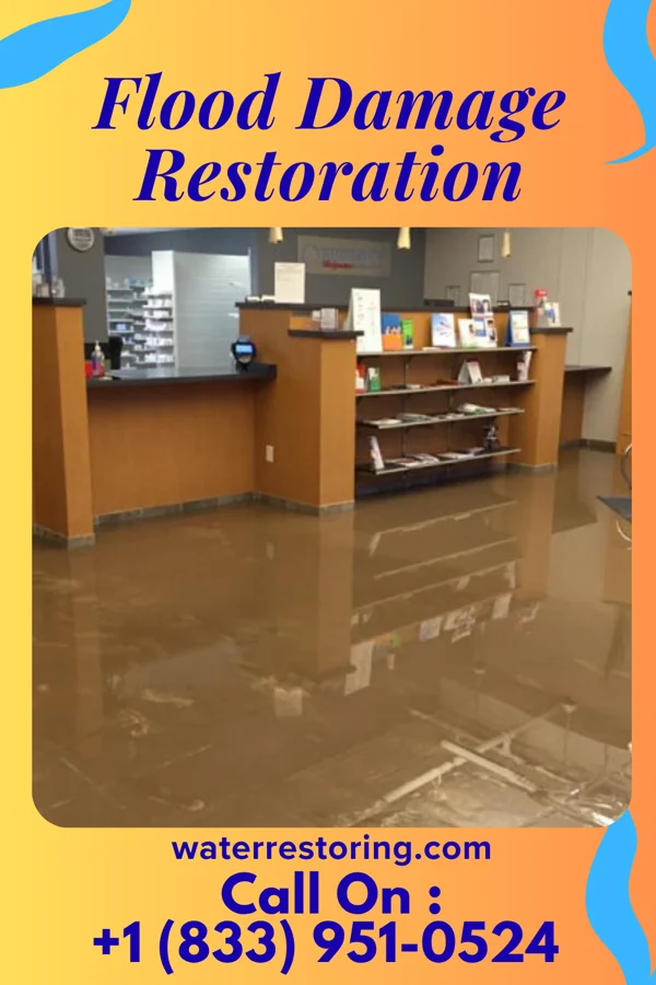 Flood Damage Restoration in Chesapeake Ranch Estates, MD