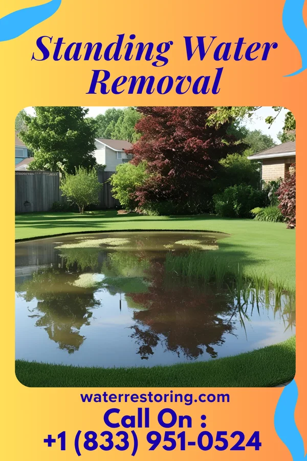 Standing Water Removal in Chesapeake Ranch Estates, MD